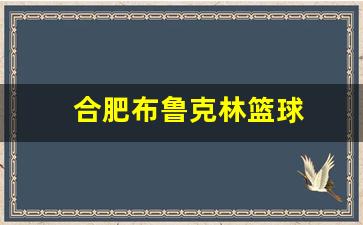 合肥布鲁克林篮球-合肥布鲁克林篮球馆电话