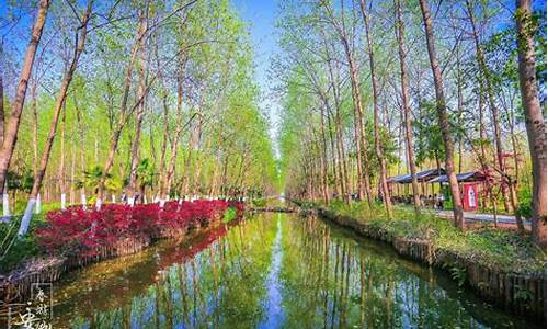 滨湖湿地公园从哪个门进比较好_合肥滨湖湿地公园一圈多少公里