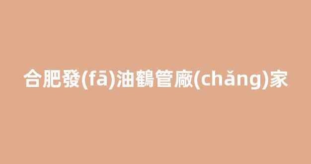 合肥發(fā)油鶴管廠(chǎng)家(下裝發(fā)油鶴管)(1)