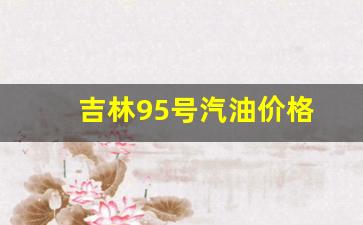 吉林95号汽油价格多少钱一升-吉林95号汽油价格