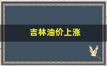 吉林油价上涨了吗-吉林油价上涨