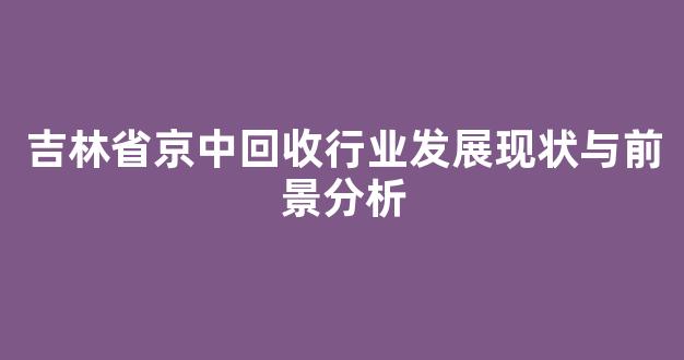 吉林省京中回收行业发展现状与前景分析