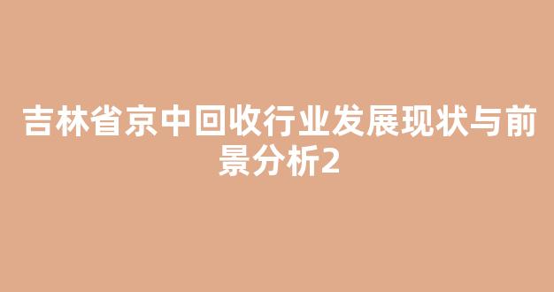 吉林省京中回收行业发展现状与前景分析