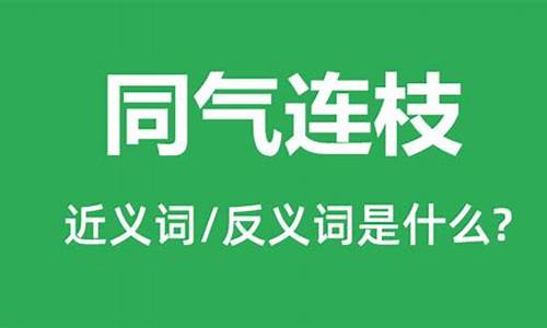 同气连枝指什么关系-同气连枝的同气指什么