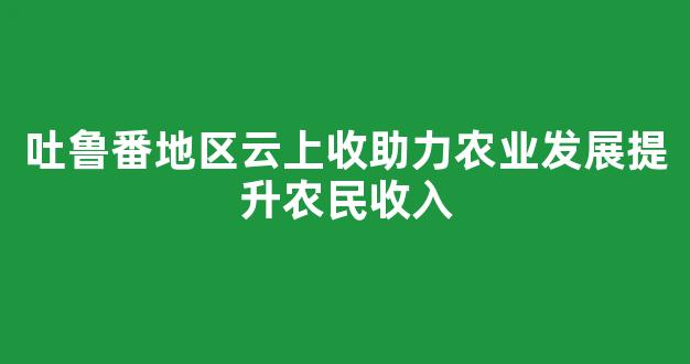 吐鲁番地区云上收助力农业发展提升农民收入