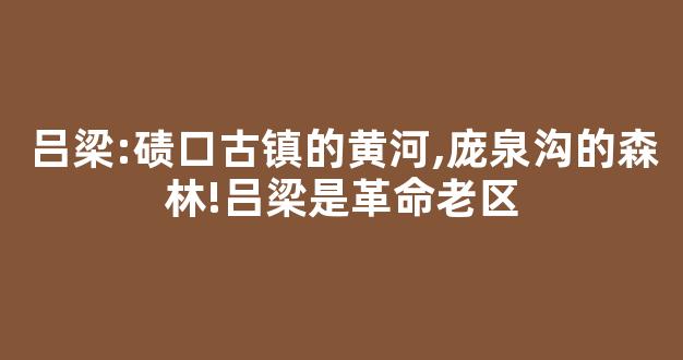 吕梁:碛口古镇的黄河,庞泉沟的森林!吕梁是革命老区