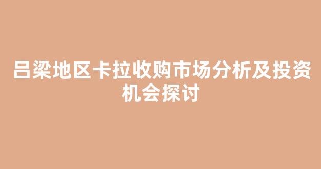 吕梁地区卡拉收购市场分析及投资机会探讨
