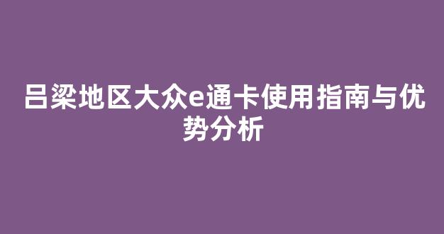 吕梁地区大众e通卡使用指南与优势分析