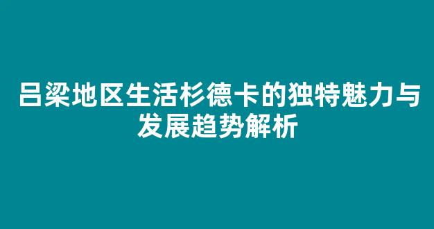 吕梁地区生活杉德卡的独特魅力与发展趋势解析