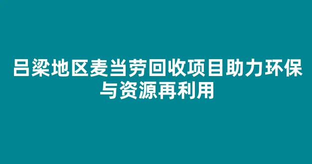 吕梁地区麦当劳回收项目助力环保与资源再利用