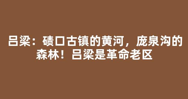 吕梁：碛口古镇的黄河，庞泉沟的森林！吕梁是革命老区