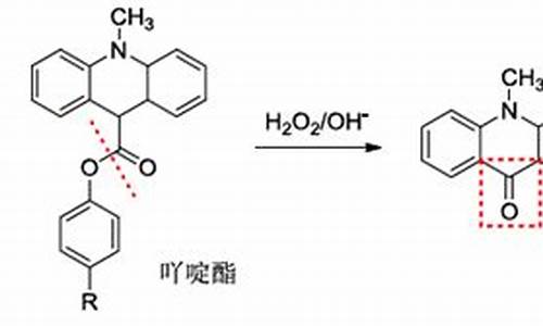 吖啶脂化学发光原理使用厂家-吖啶酯化学发光激发液是什么