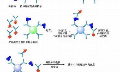 吖啶酯偶联抗体稀释液-吖啶酯在什么环境