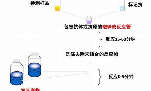 吖啶酯化学发光法检测原理-吖啶酯直接化学