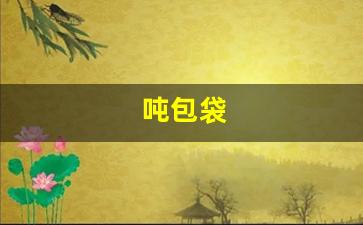 吨包袋(吨包袋的用途)_https://www.jumanxin.com_科创板_第1张
