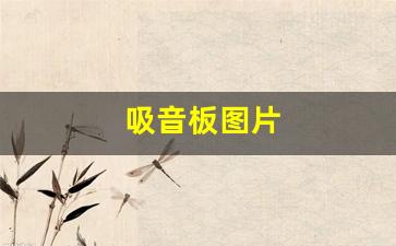 吸音板图片(吊顶吸音板图片)_https://www.ljyuan-tech.com_创业板_第1张