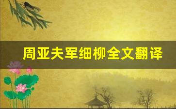 周亚夫军细柳全文翻译,周亚夫军细柳讲了什么,周亚夫军细柳经典句子-第1张图片-我的生活随想