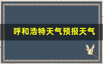 呼和浩特天气预报天气预报15天_呼和浩特天气预报天气预报15天查询结果