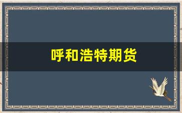 呼和浩特期货