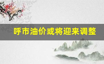 呼市油价或将迎来调整-呼市油价或将迎来调整的原因