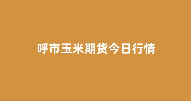 呼市玉米期货今日行情(玉米期货今日行情走势分析)_https://www.hangfeite.com_北交所_第1张