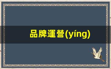 品牌運營(yíng)具體做什么插圖