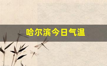 哈尔滨今日气温_哈尔滨今日气温最高和最低