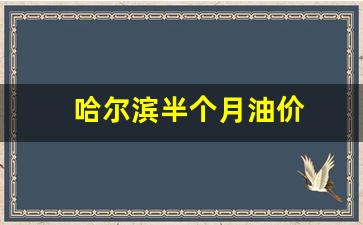 哈尔滨油价调整日期_哈尔滨半个月油价