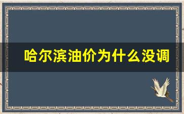 现在哈尔滨油价多少钱一升-哈尔滨油价为什么没调整