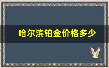 哈尔滨铂金价格多少_哈尔滨铂金1319ktv