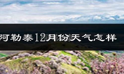 哈巴河天气预报_哈巴河天气预报40天