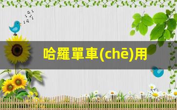 哈羅單車(chē)用戶(hù)運營(yíng)怎么做插圖