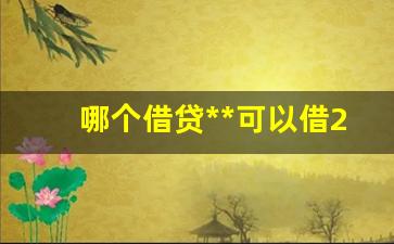 哪个借贷平台可以借24个月(哪个借贷平台可以先息后本)_https://www.kairu168.com_广期所_第1张