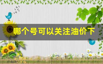 哪个号可以关注油价下跌-哪里可以关注油价