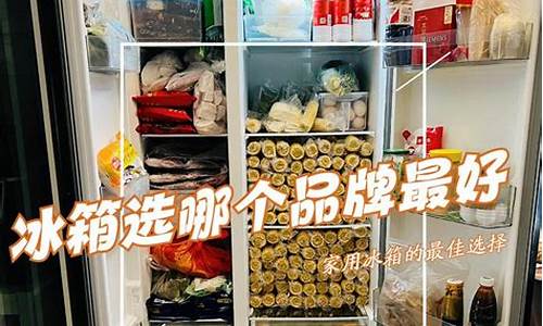 哪个品牌的冰箱最好_哪个品牌的冰箱最好最省电