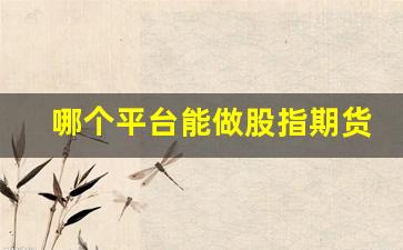 哪个平台能做股指期货行情(做股指期货用什么软件)_https://www.haiwangdasha.com_深交所_第1张