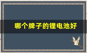 哪个牌子的锂电池好(啥牌子锂电池好)_https://www.nalian8.com_创业板_第1张