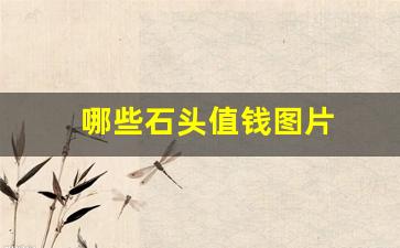 哪些石头值钱图片(哪种石头最值钱图片)_https://www.nalian8.com_北交所_第1张