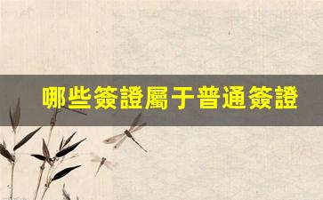哪些簽證屬于普通簽證(我國普通簽證簽證的種類)