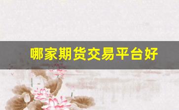 哪家期货交易平台好(哪个期货平台比较好)_https://www.xzdzcjn.com_北交所_第1张