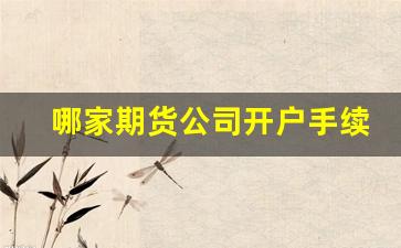 哪家期货公司开户手续费低(哪家期货公司手续费最低)_https://www.xzdzcjx.com_科创板_第1张