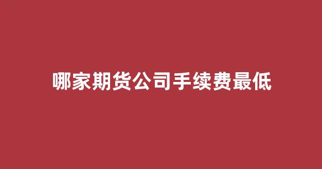 哪家期货公司手续费最低(哪家期货公司手续费最低呢)_https://www.xzdzcjn.com_创业板_第1张