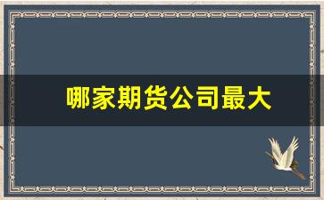 哪家期货公司最大(最好的期货公司)_https://www.jumanxin.com_深交所_第1张