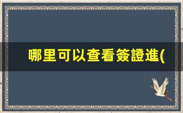 哪里可以查看簽證進(jìn)度(在哪可以查簽證進(jìn)度)