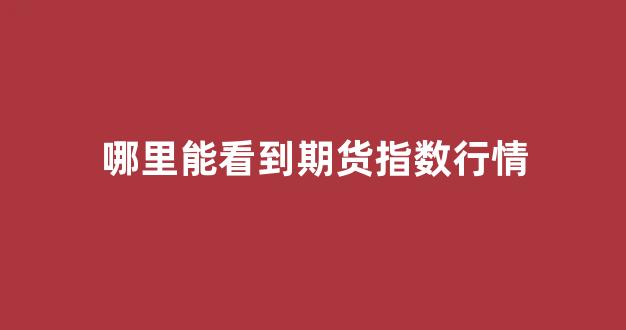 哪里能看到期货指数行情(在哪可以看期货行情)_https://www.hhem8.com_上交所_第1张