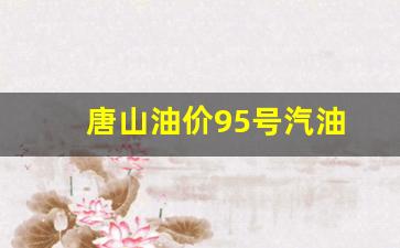 唐山油价95号汽油-唐山油价95号汽油 今天