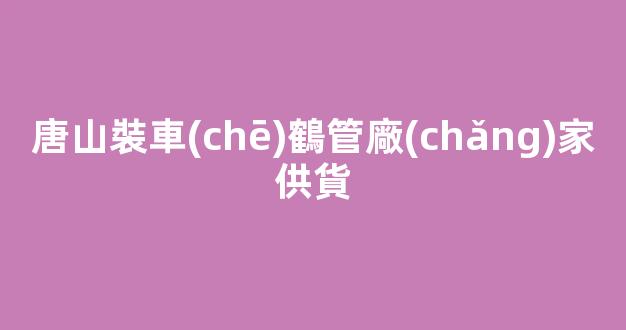 唐山裝車(chē)鶴管廠(chǎng)家供貨(裝車(chē)鶴管型號(hào))(1)