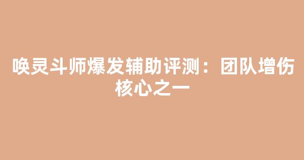 唤灵斗师爆发辅助评测：团队增伤核心之一-第1张图片-冒险岛私服发布网