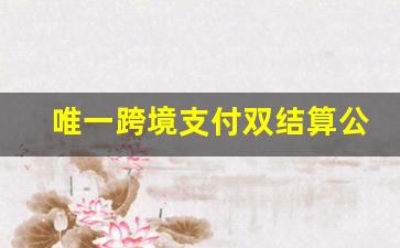 唯一跨境支付双结算公司(跨境支付结算系统)_https://www.syklpowerbike.com_上交所_第1张