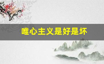 唯心主义是好是坏(唯心主义是不是错的)_https://www.haiwangdasha.com_大商所_第1张